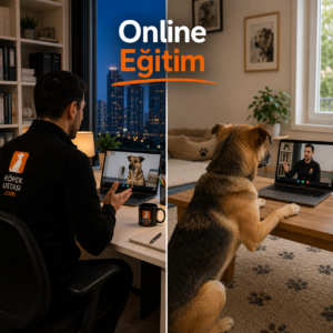 Online Eğitim - Toplantı Dili Türkçe